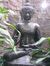 Meeta T...