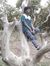 Akshat Giri
