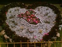 احمد الكربلائي