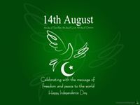 Ambreen Ali