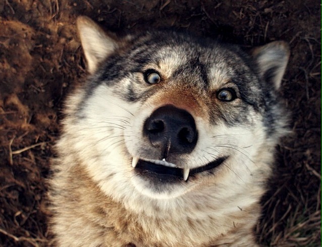 Goodreads profile picture for @lands