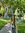 Grace Wride | 2 comments