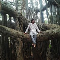 Harsh Nayak