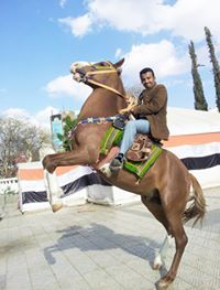 محمد الخضري