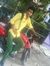 Atul Pa...