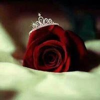 فاطمه محاميد