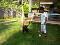 Hiran Ravindran