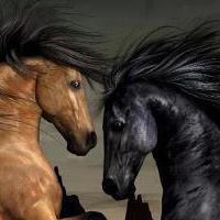 امين عبدالغني