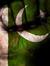 Mehwish...