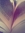 Jannelle (The-Book-Huntress) | 7 comments