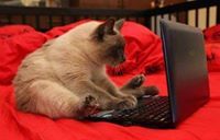 ปิยวัฒน์ สุขแสน