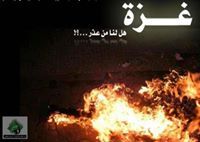 نورهان عزالدين