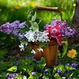 Alaa