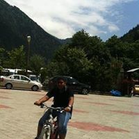 Bashier Majdi