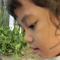 Muhammad Fahruddin