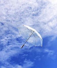 ربيعة بن تيشة