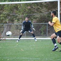 Damir-albina Hasandic