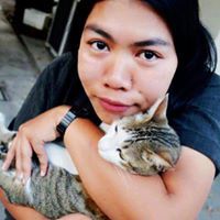 จะกลับ เชียงดาว