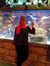 Donia Adly