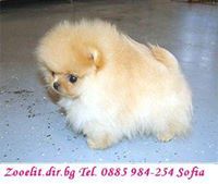 Ирена Милушева