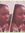 Evane D...