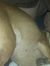 Mitzi H...
