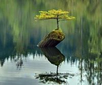 Khandaker Saiful islam