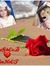 Rahaf A...