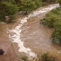 سالم ال دواس