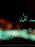Jamila
