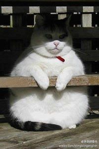 ท้องมันร้อง ฟ้องว่าหิว