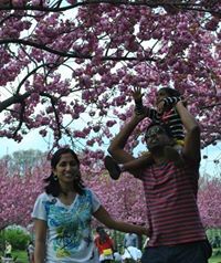 Arun Paul