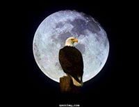 ابومازن روسى