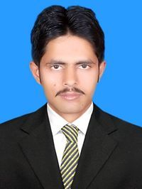 Muhammad Wajid shahzad