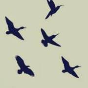 البنفسج الطموح