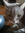 Tom | 4 comments