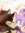 Blaze | 1 comments