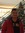 Amit