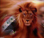 الفاروق العبيدي