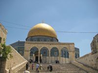 محمد القريوتي