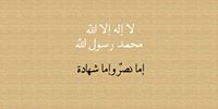 محمد بن