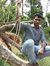 Hafsal ...