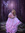 Reihane | 145 comments