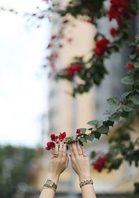 Несрине Нина