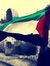 Sayed H...