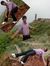 Deepak ...