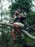 Rahul S...
