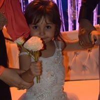 علا حنفي المصرى