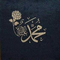 Heba Anwar