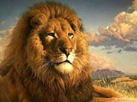 محمود محمد عبده